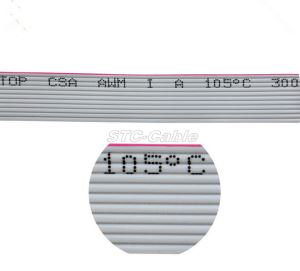 2,54 mm Pitch 2x6Pin 12Pin 12 Drähte IDC Flachband-Kabel F/F